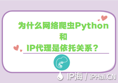 為什么網絡爬蟲Python和IP代理是依托關系？