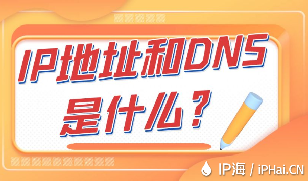 IP地址和DNS是什么？