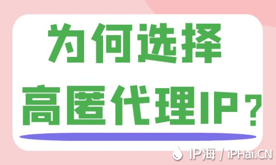 為何選擇高匿代理IP？